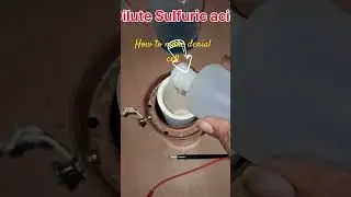 How to make Daniel cell #experiment  #physicsexperiments #viralshorts