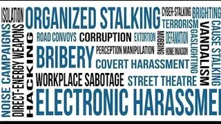 Gang Stalking Informants, Cointelpro Surveillance, Community Policing Goals | Bridging the Gap 2009