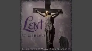 My Mercy