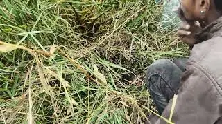 YouTube video ful movie 🍿🎥 😱 subscribe Karen