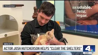 Josh Hutcherson volunteers in Pasadena shelter to promote pet adoption