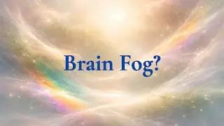 Daytime Grounding – Nervous System Music for Focus