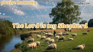 I Shall Not Want | Deep Worship & Comfort (Inspired by Psalm 23)