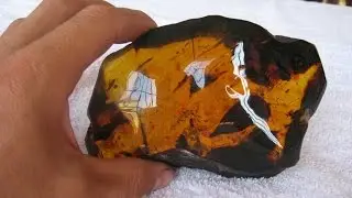 TerraTreasures Down into the La Toca Amber Mine in the Dominican Republic
