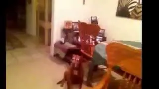 Nerf War counter terrorist win/ lose
