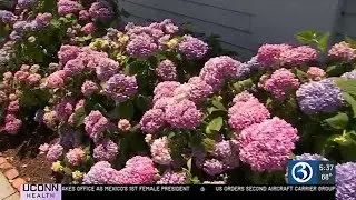 USDA announces new plant hardiness zones