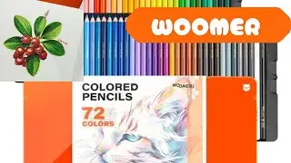 RESENHA - Lápis de Cor WOOMER - Meus Novos Preferidos