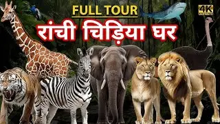 रांची चिड़िया घर 🐘 Ormanjhi Zoo Ranchi 🦁 Ranchi Zoo 2026 🦌 Birsa Munda Biological Park 🐊 Vlog Ranchi