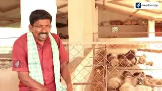 Sheep And Goat Farming Course Trailer in English | ffreedom app