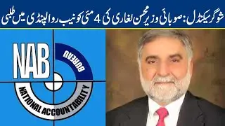 Sugar scandal probe: NAB summons Mohsin Leghari on May 4