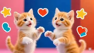 Happy Cats Poem 