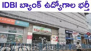 IDBI Bank job Notification in telugu 2019 latest jobs || Bank jobs in telugu 2019