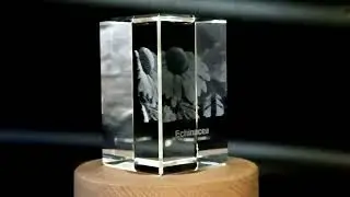 Stunning 3D Engraved Echinacea Plants Crystal D&eacute;cor Piece - FSP26