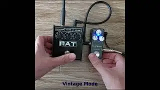 Mosky Black Rat vs Proco Rat 2 (no talking)