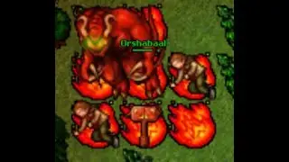 TIBIA / SHADOW-ILLUSION.COM/ OTS / TOP KING MS / HUNT SWEDISH / 4FUN / ORSCHABALL / NO SOUND / 848EK