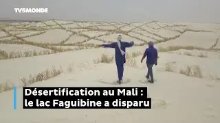Désertification au Mali : le lac Faguibine a disparu
