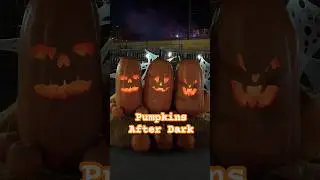 Pumpkins After Dark 🎃 | Family Night Out | Calgary 🇨🇦