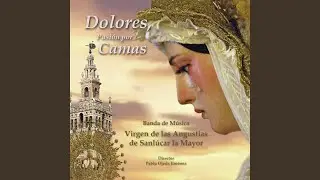 Virgen Del Rosario Coronada