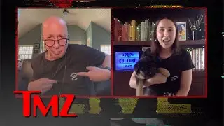 Paul Shaffer's Daughter Explains 'Pup Culture,' New Dog Shelter Initiative | TMZ