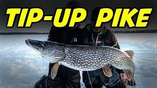 Northern Pike on Tip Ups (Helpful Tips)