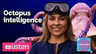 Alex Shnell's extraordinary discoveries about octopus intelligence | ABC Conversations Podcast