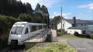O Vicedo