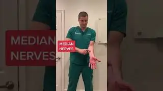 Which of these nerves in your arm is causing your pain, numbness or tingling?