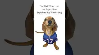 The MVP Who Lost the Super Bowl (Explained by Dog)