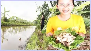 Storm Cleanup: Restoring the Farm & Cooking Delicious Fish