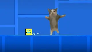 happy happy happy cat
