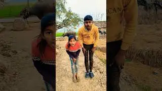 buffalo #funnyvideos #buffaloshort #buffa...