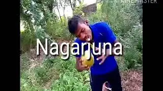 Nagarjuna yvu mped