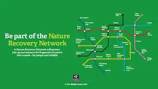 Surrey Local Nature Recovery Mini Webinar: Adam Brown