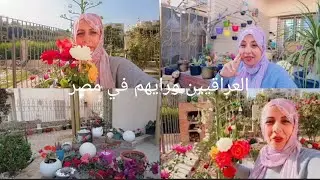 #مغتربة_فى_فرنسا تعالي -شوفي -راي# العراقيين- في بلدك- مصر- مقابلتي مع بنت بلدك
