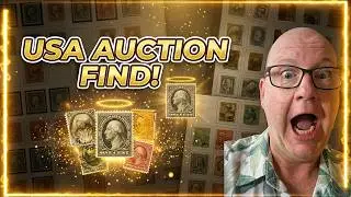 USA Stamp Auction Find