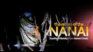 The NANAI