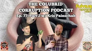 Pine Snake & King Snake Galore w/ Badlands Herpetoculture | The Colubrid Corruption Podcast | Ep. 77