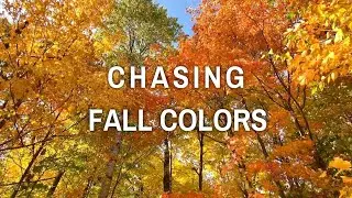 Embracing the Beauty of Fall- Stunning Autumn Foliage in Ottawa Ontario Canada, Cinematic Film, 4K