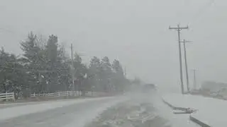 Ofallon Missouri snow squall  01/17/2026 Fast hitting  minor accumulating snow❄️ snowshowers,squall 