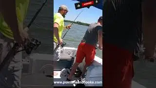 Striper Catch In The Choptank River