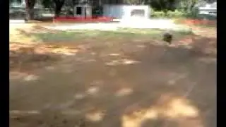 slash 4x4 at black diary rd