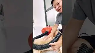 M&aacute;y sấy l&ocirc;ng Shernbao DHD-3000F C&ocirc;ng suất mạnh, sấy nhanh kh&ocirc;