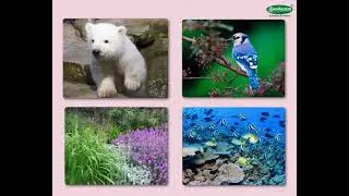 Science Concept आपले पर्यावरण - Our Environment (5-6 grade) Marathi med