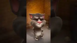 बोलने वाली बिल्ली कामेडी वीडियो padne wali biladi comedy short video