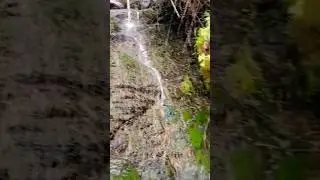 Nathia Gali zulfi Abshar #reelsvideo #viral #YouTubereels