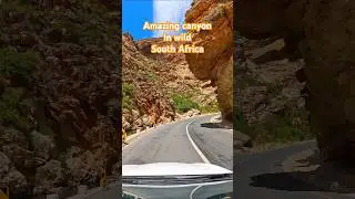 Epic Canyon Drive in 20 Seconds | Scenic Road Trip #Shorts #happycanyon