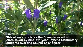 Rindo（Gentian）Flower Education 2018