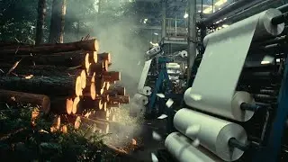 “From Trees to Paper: The Hidden Journey Inside a Paper Factory | Documentary”