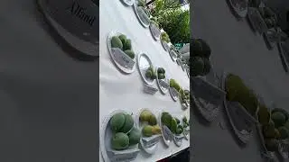 400 types of mango🥭 Mango mela pinjore 🥰😊 #pinjoregarden #mangomela  #viral 🔥🔥