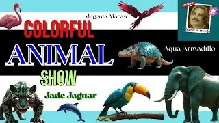 COLORFUL ANIMAL SHOW